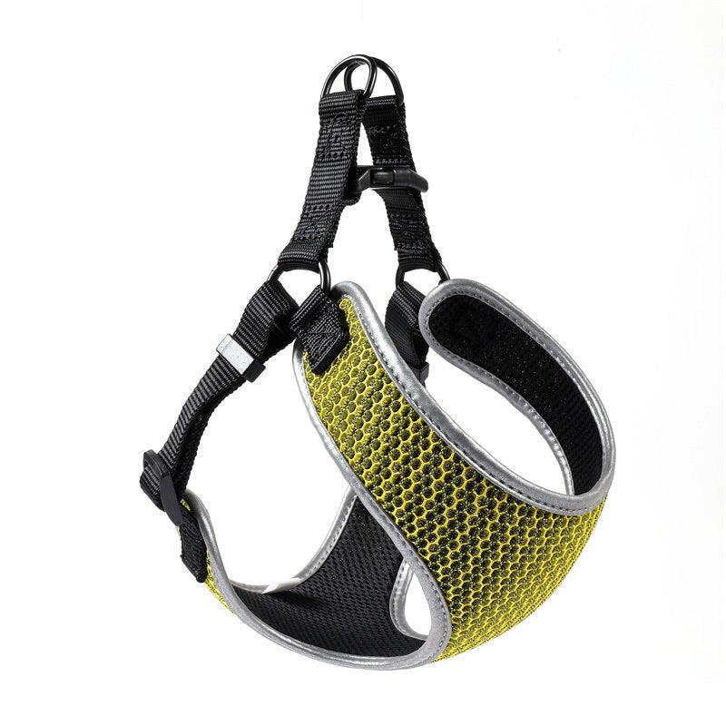 The Collarless Bundle: step-in vest harness, leash and tag
