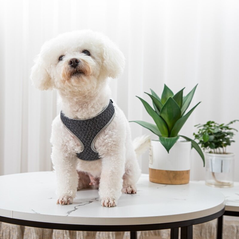 The Collarless Bundle: step-in vest harness, leash and tag
