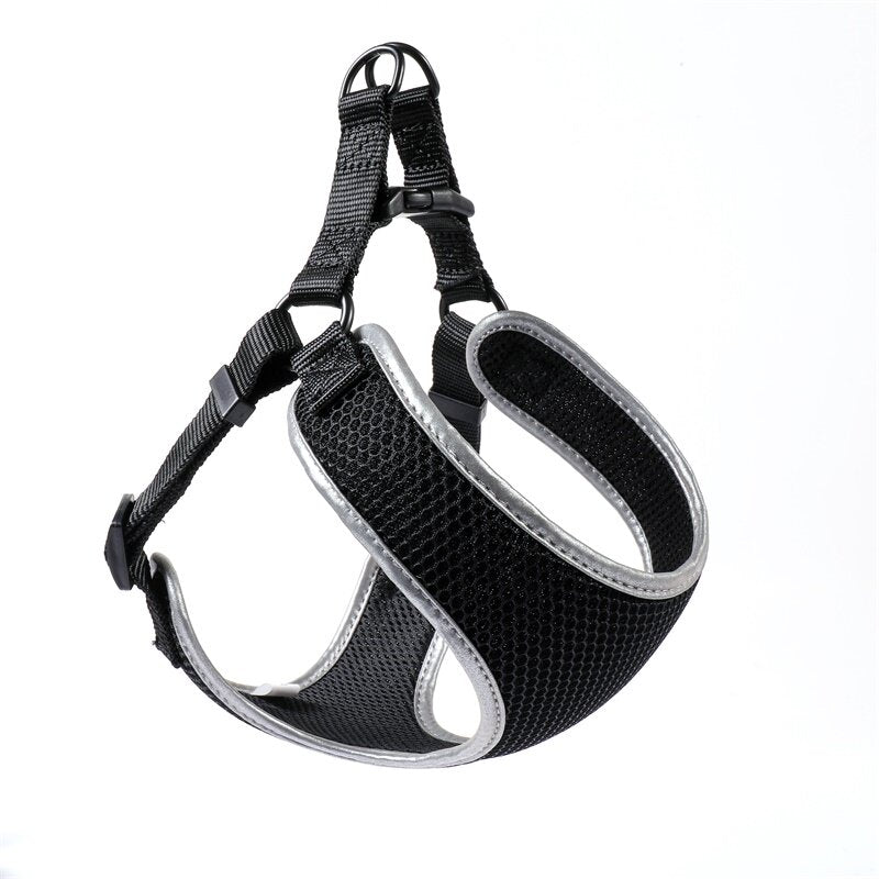 The Collarless Bundle: step-in vest harness, leash and tag